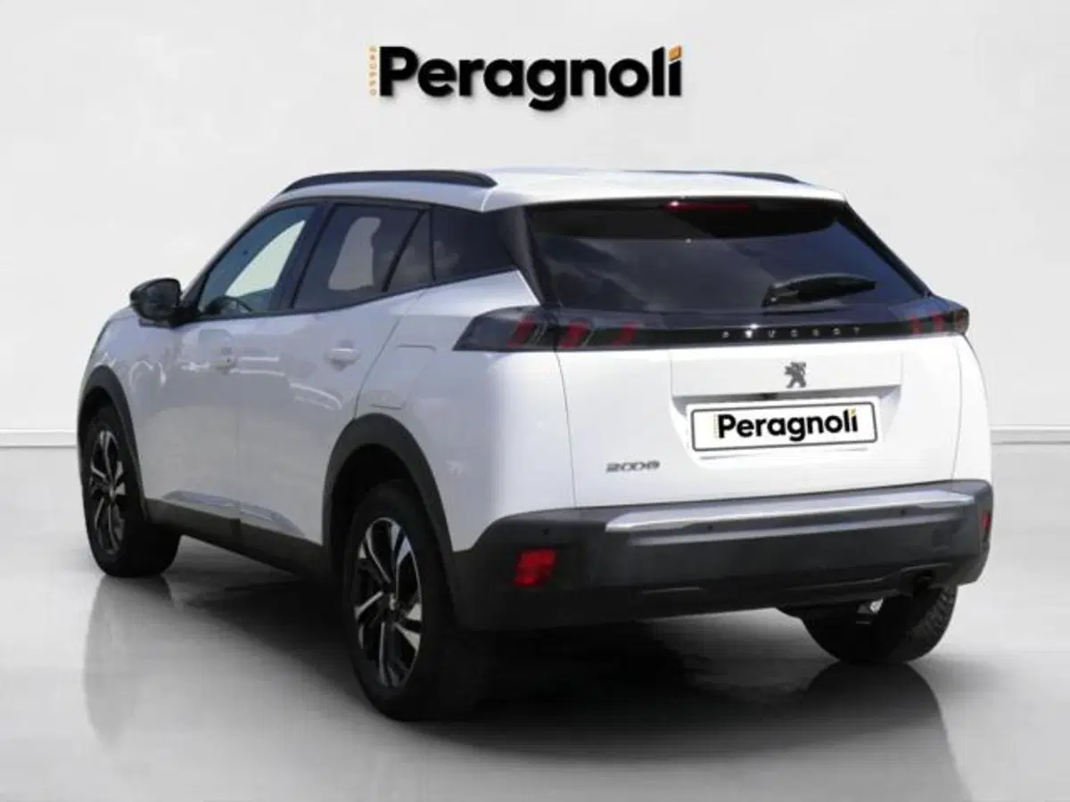 Peugeot 2008 usata a Firenze (4)
