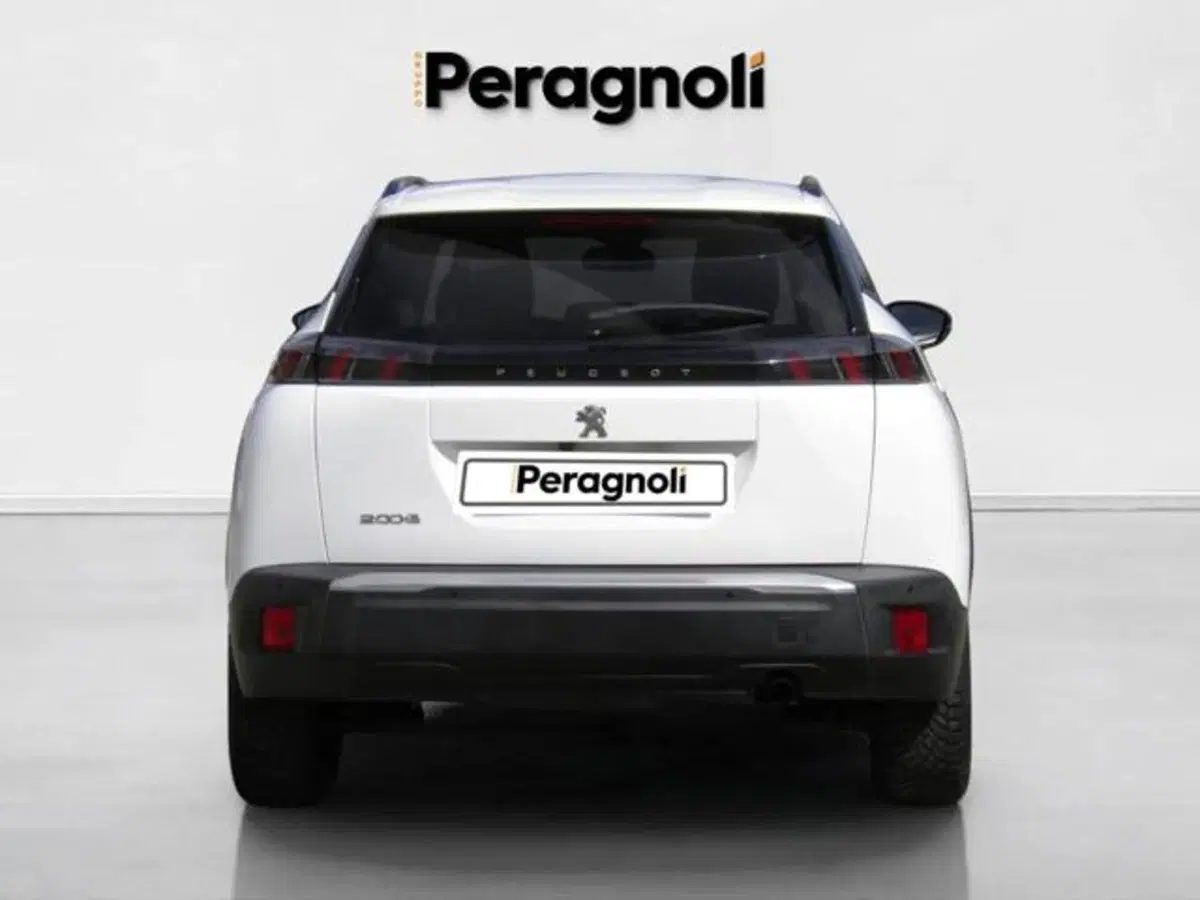 Peugeot 2008 usata a Firenze (5)