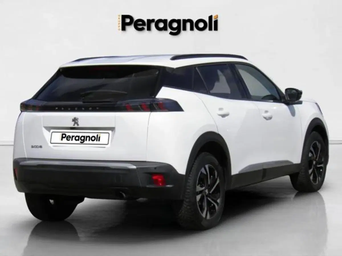 Peugeot 2008 usata a Firenze (6)