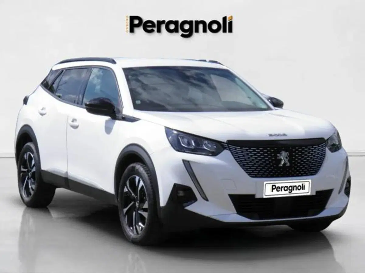 Peugeot 2008 usata a Firenze (8)