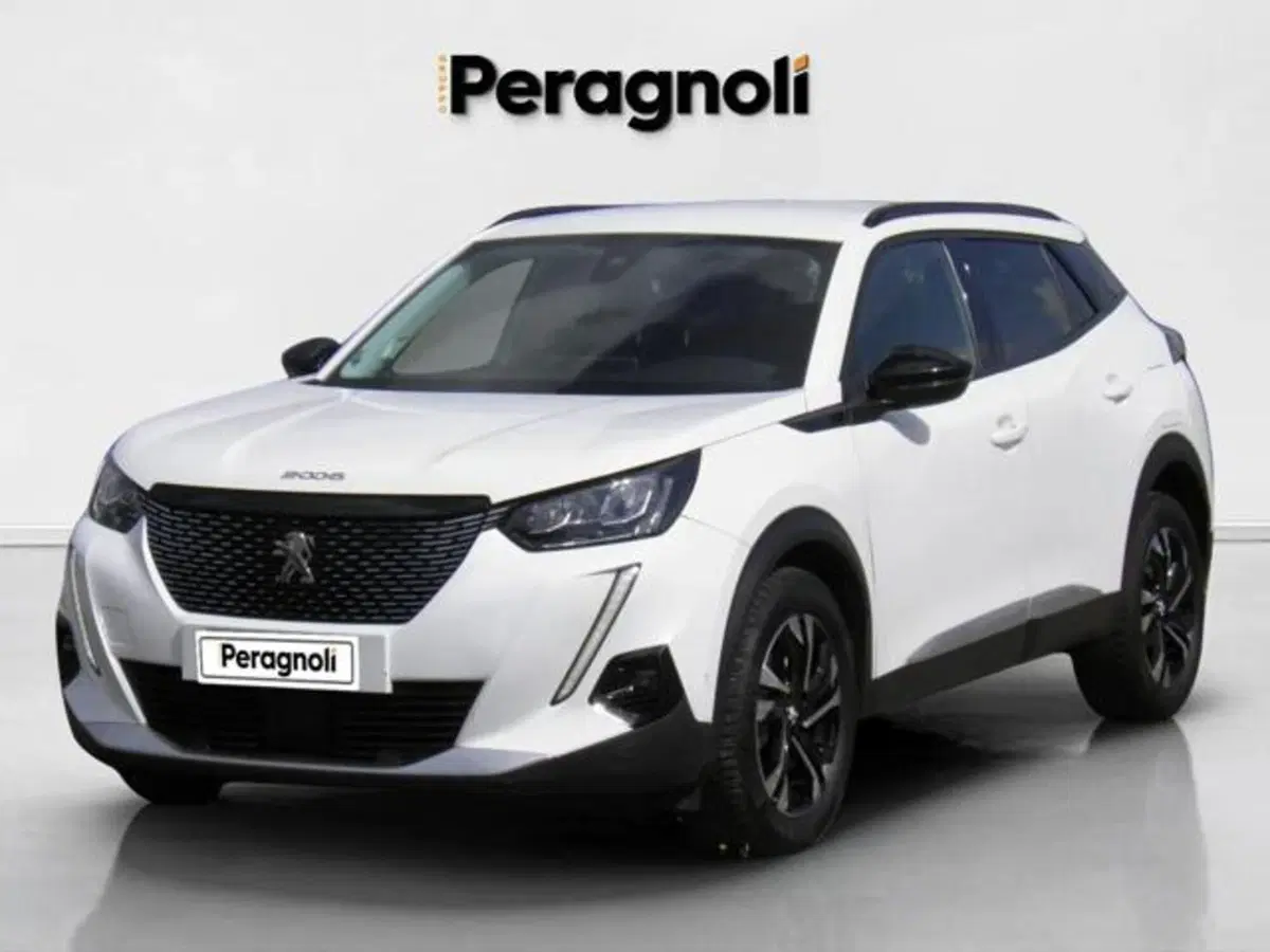 Peugeot 2008 usata a Firenze (9)