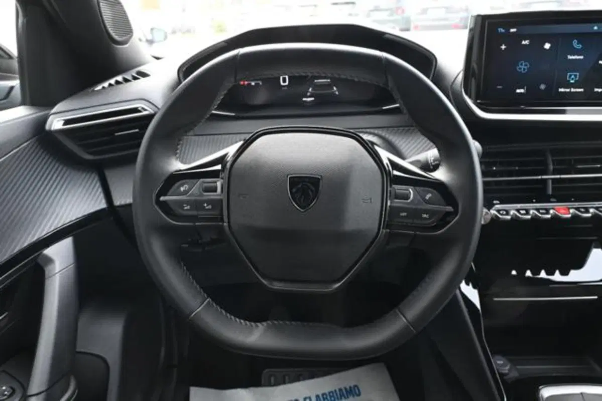 Peugeot 2008 usata a Torino (16)