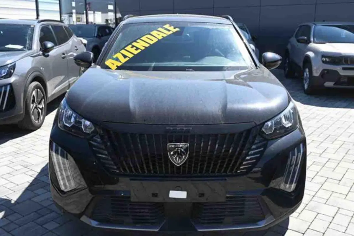 Peugeot 2008 usata a Torino (17)