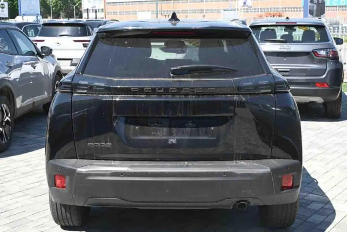 Peugeot 2008 usata a Torino (18)