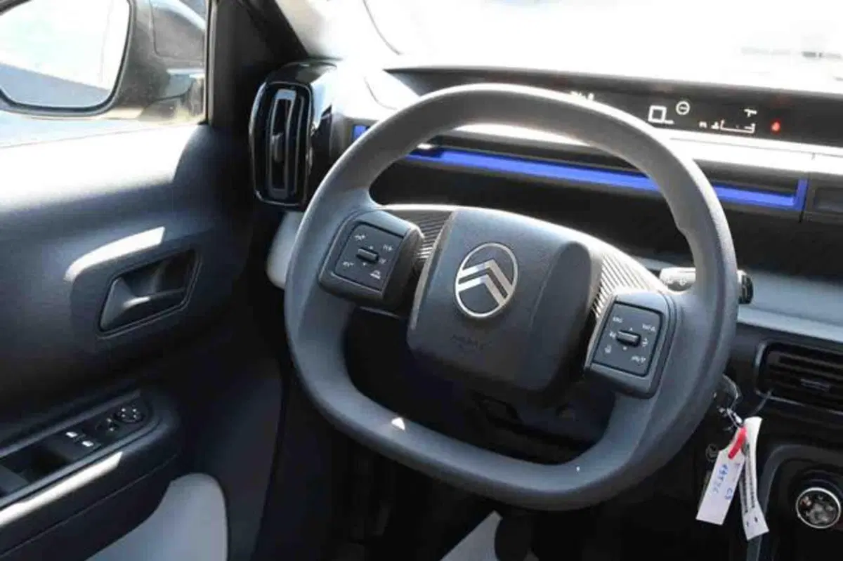 Citroen C3 nuova a Torino (15)