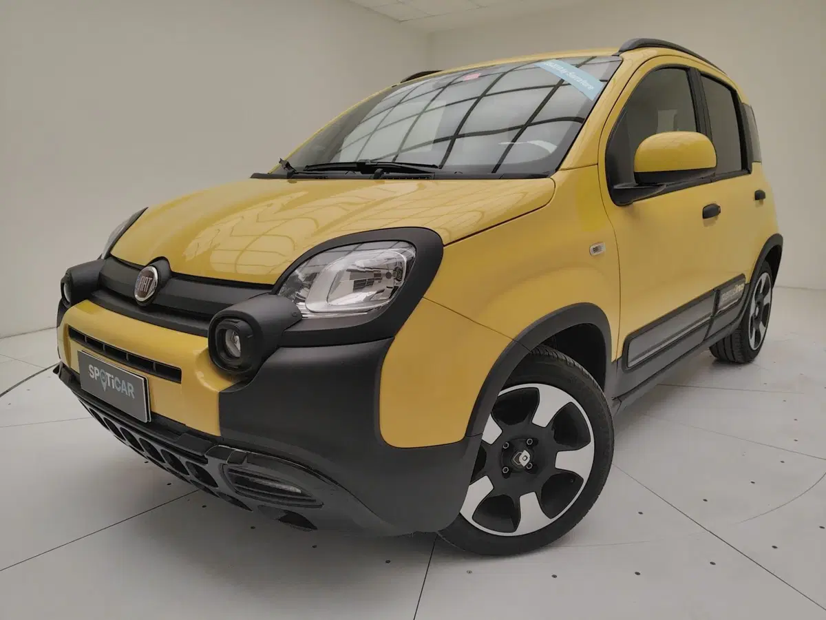 Fiat Pandina usata a Como