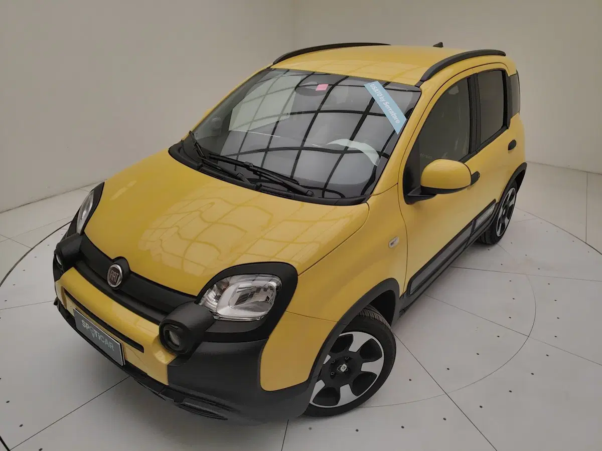 Fiat Pandina usata a Como (15)
