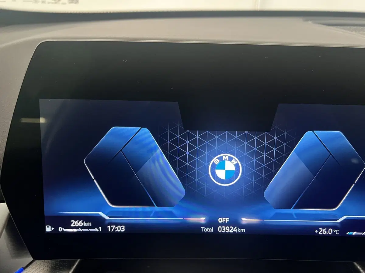BMW X1 usata a Torino (14)