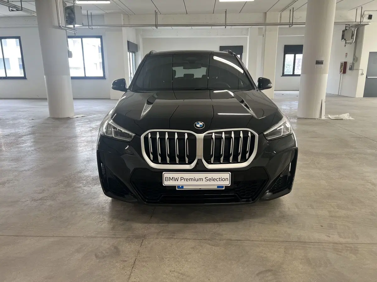 BMW X1 usata a Torino (3)
