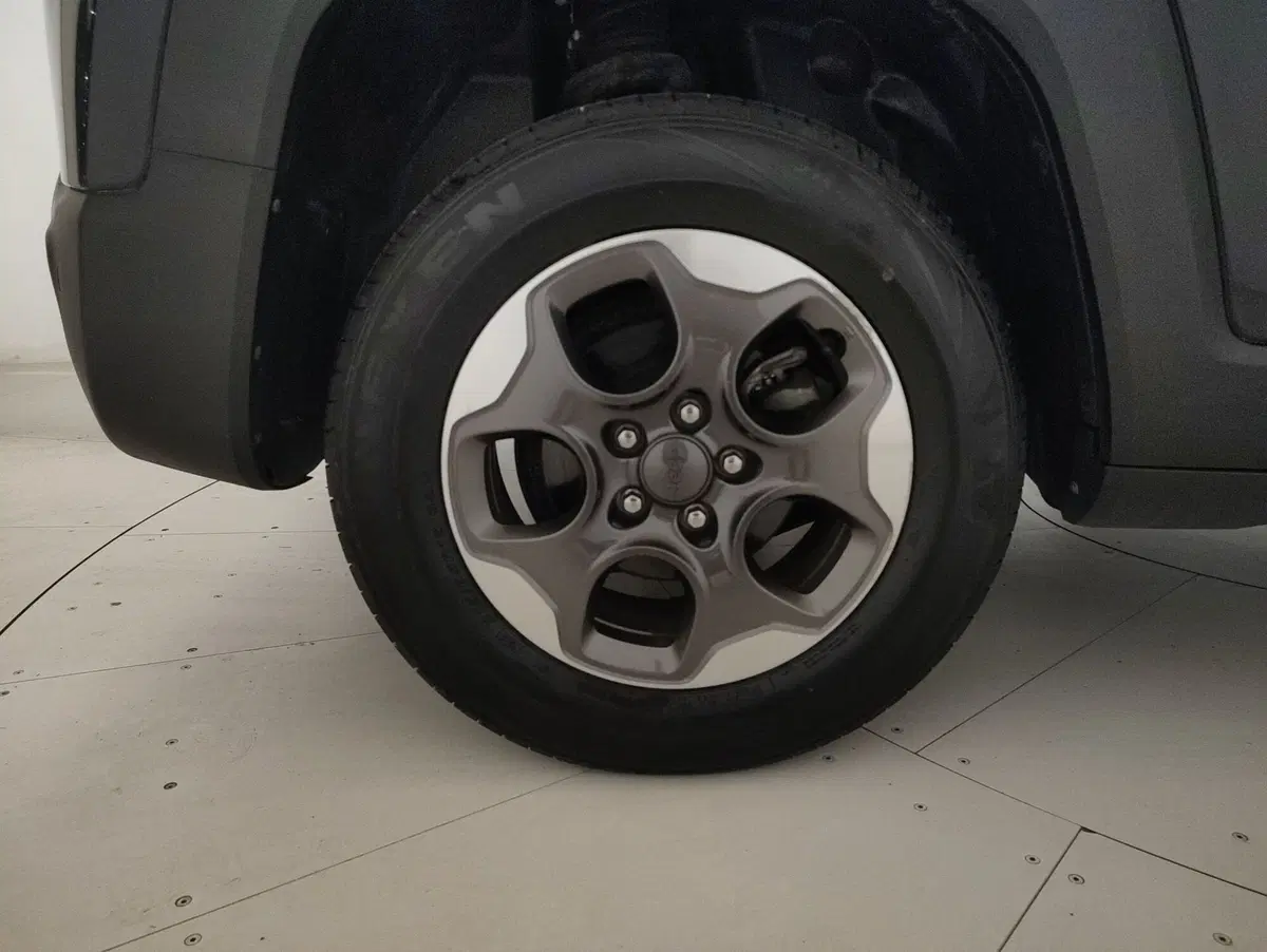 Jeep Renegade usata a Alessandria (14)