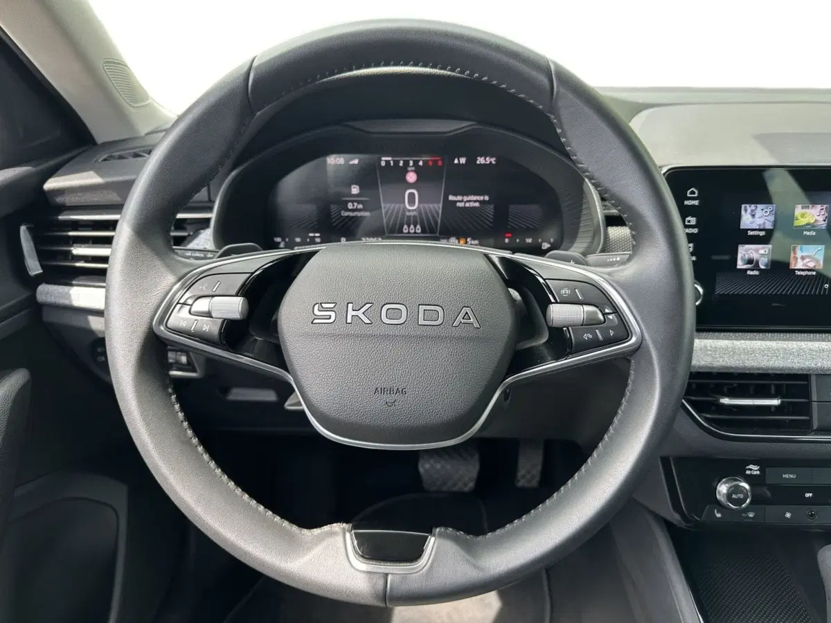 Skoda Kamiq usata a Pistoia (6)