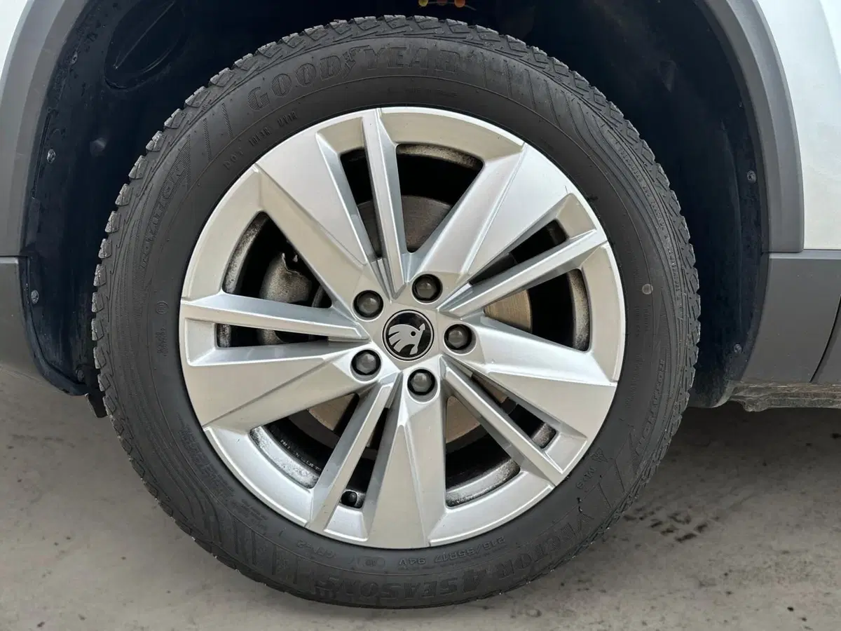 Skoda Karoq usata a Pistoia (14)