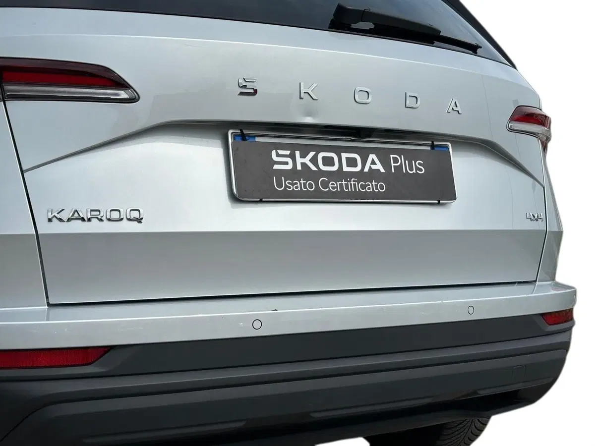 Skoda Karoq usata a Pistoia (15)