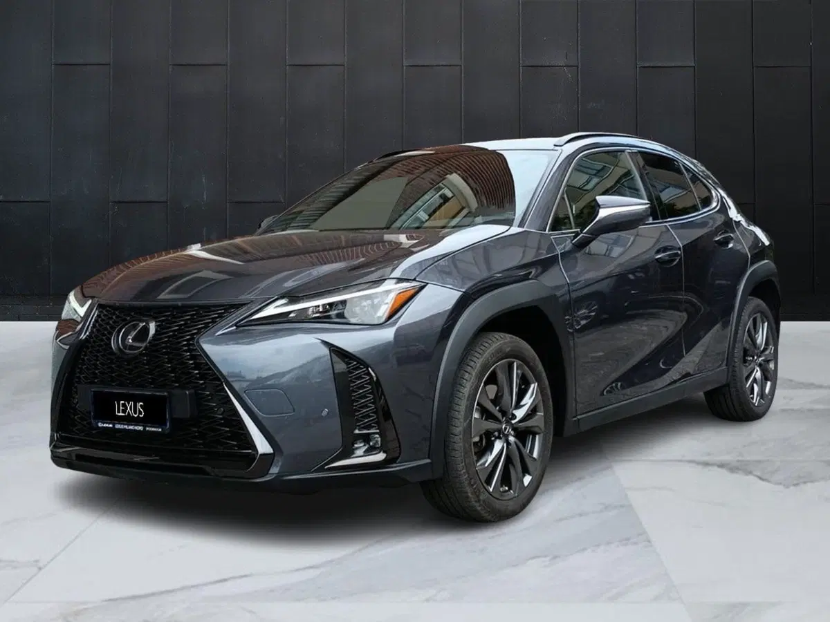 Lexus UX usata a Milano