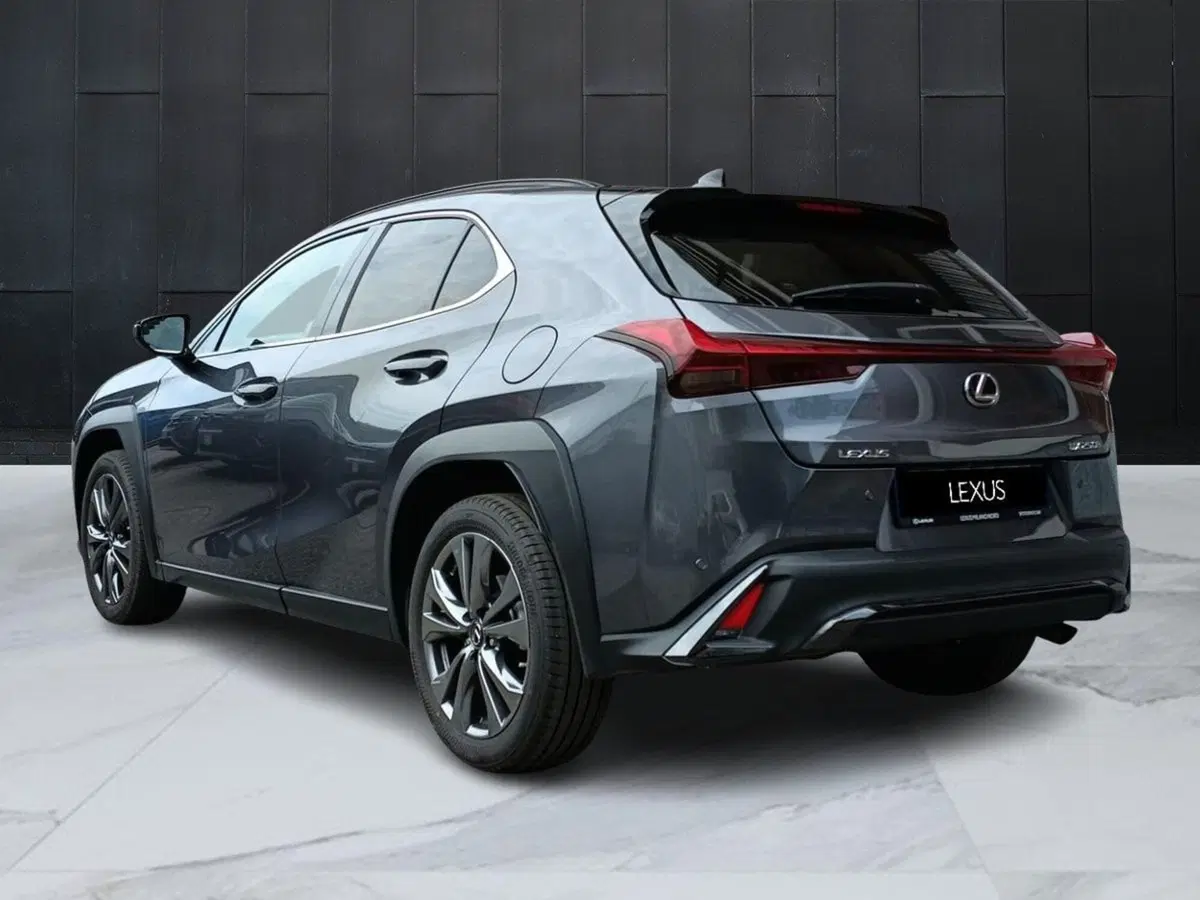 Lexus UX usata a Milano (5)