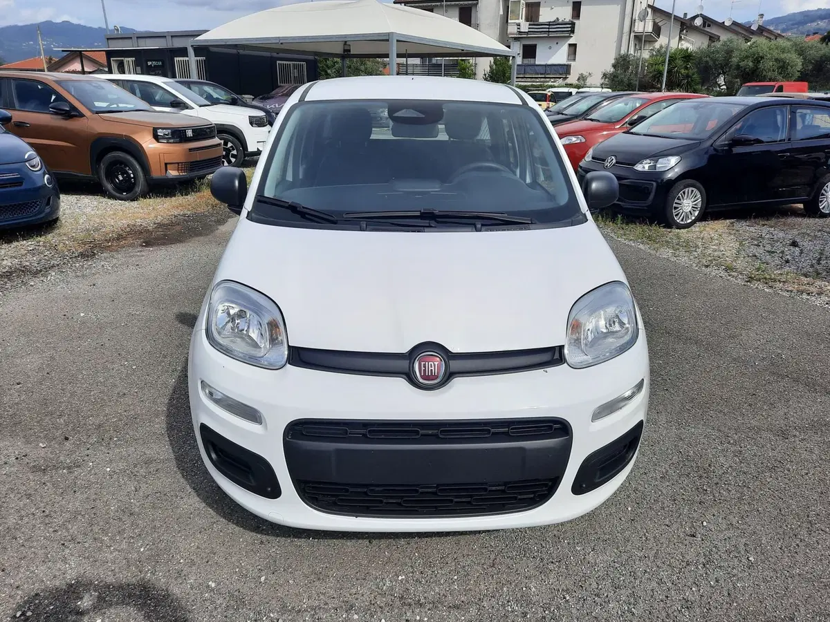 Fiat Pandina nuova a La Spezia (2)