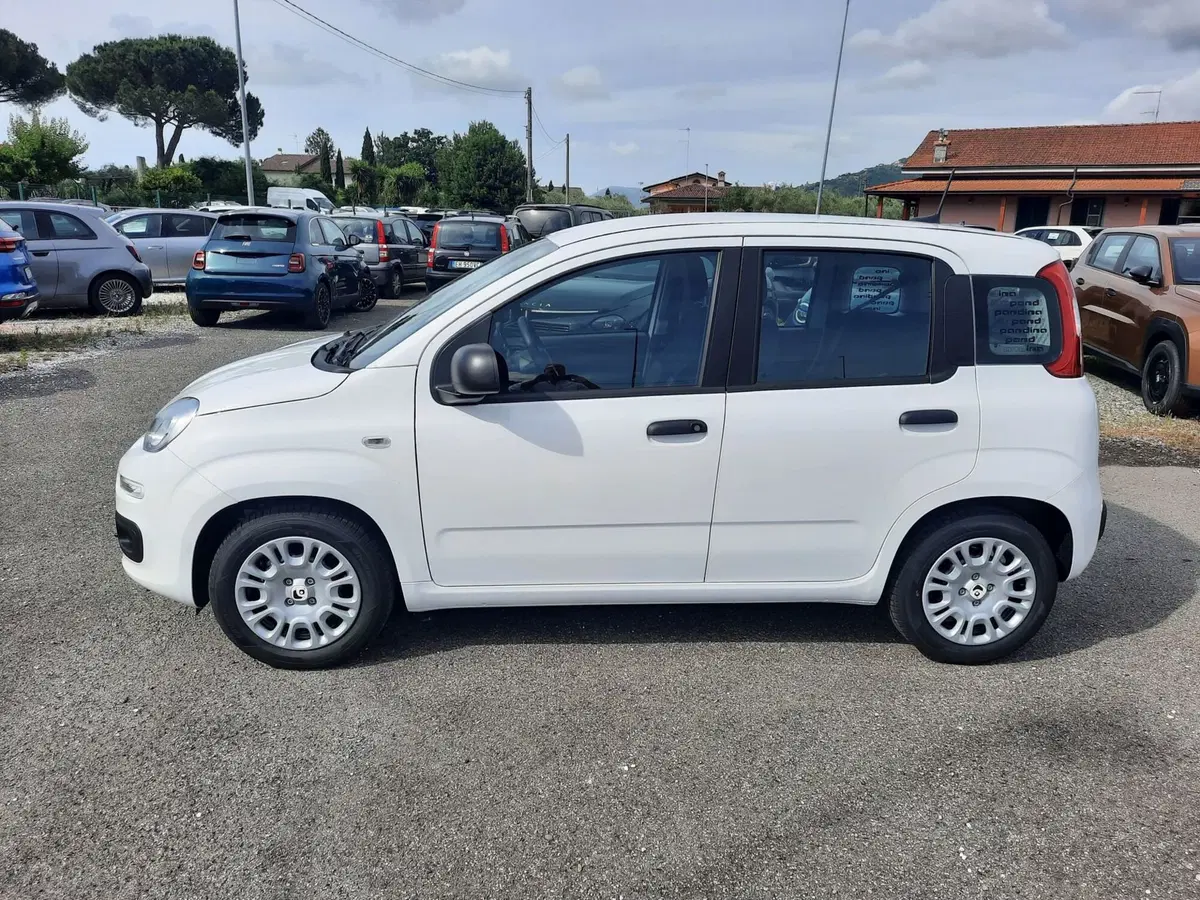Fiat Pandina nuova a La Spezia (4)