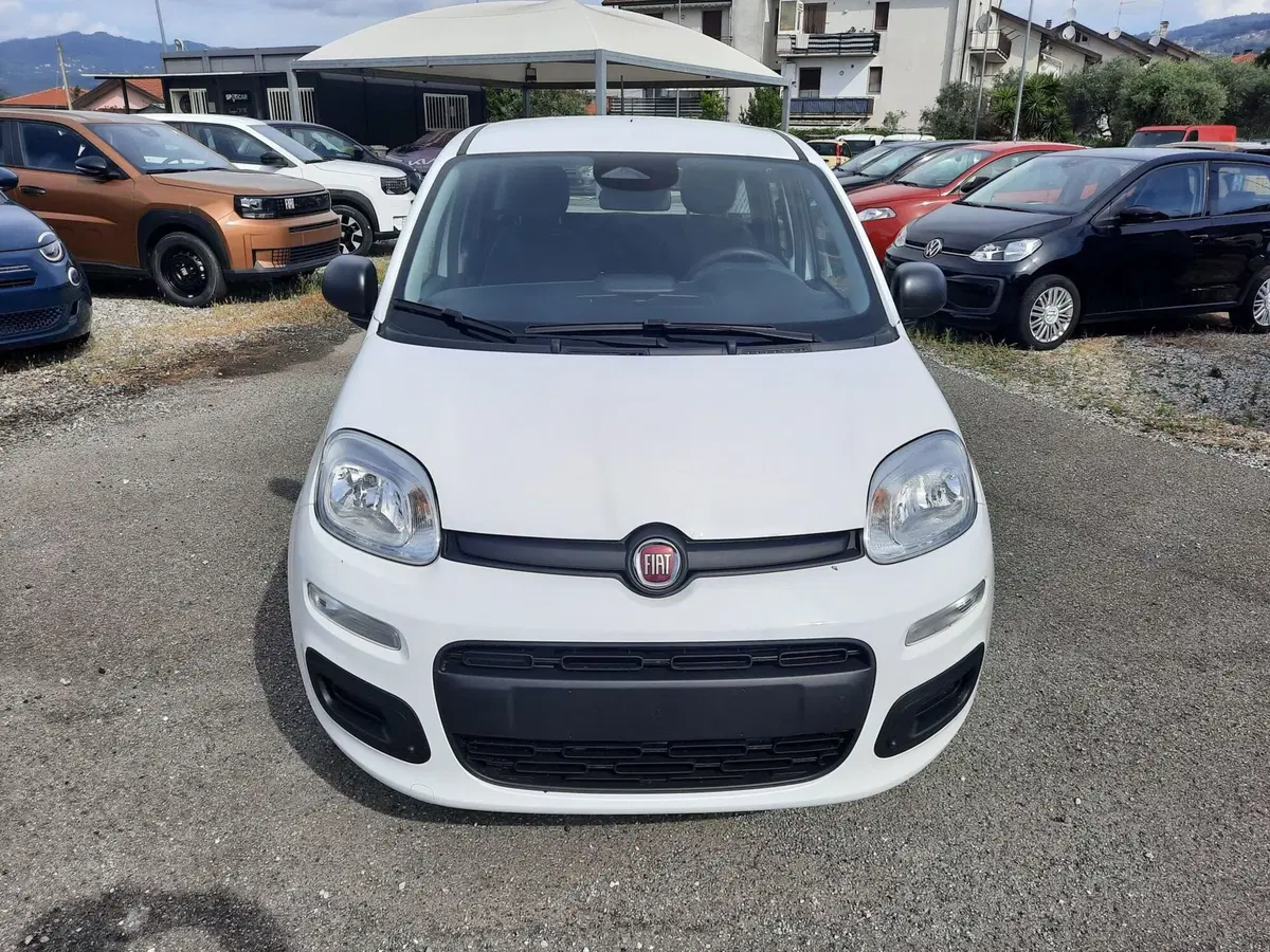 Fiat Pandina nuova a La Spezia (2)