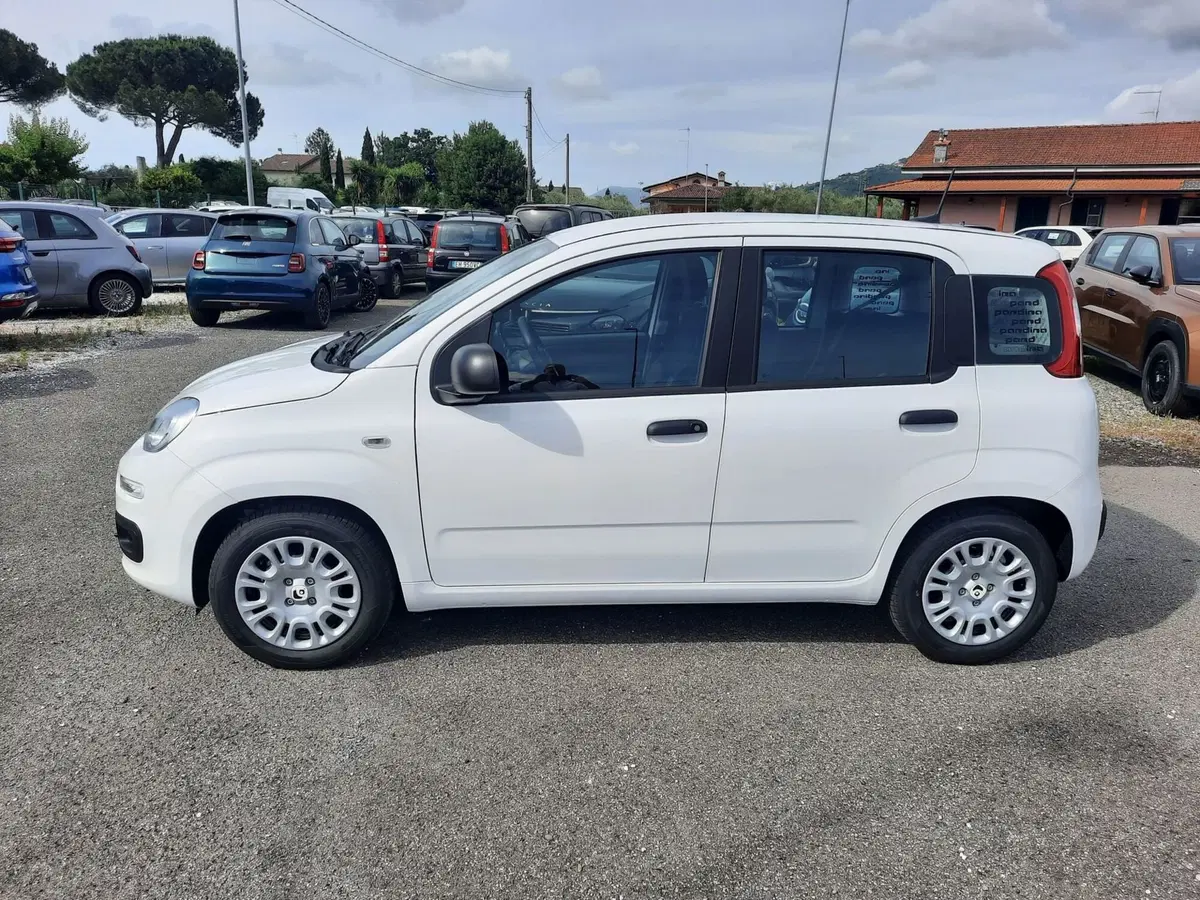 Fiat Pandina nuova a La Spezia (4)