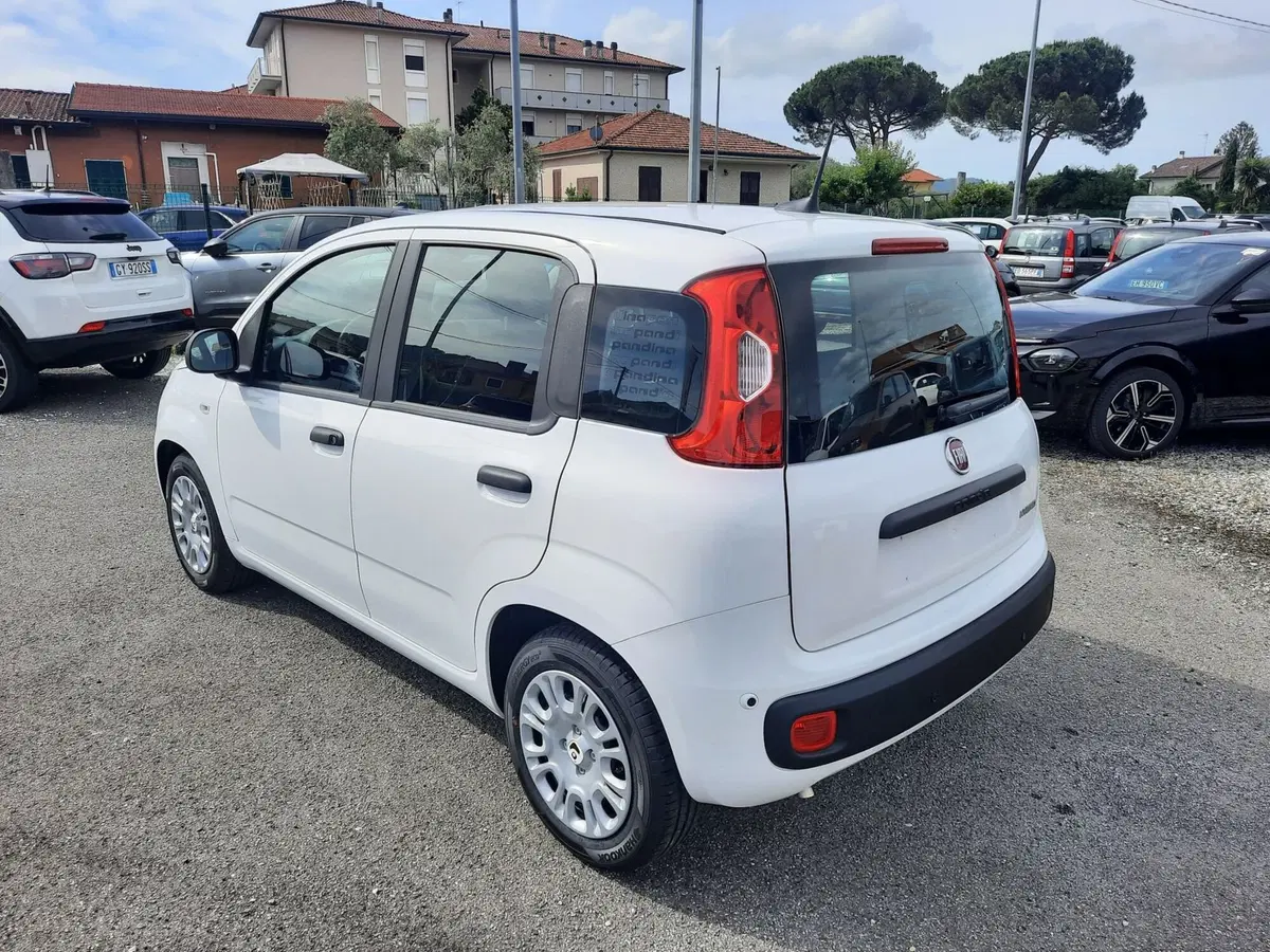 Fiat Pandina nuova a La Spezia (5)