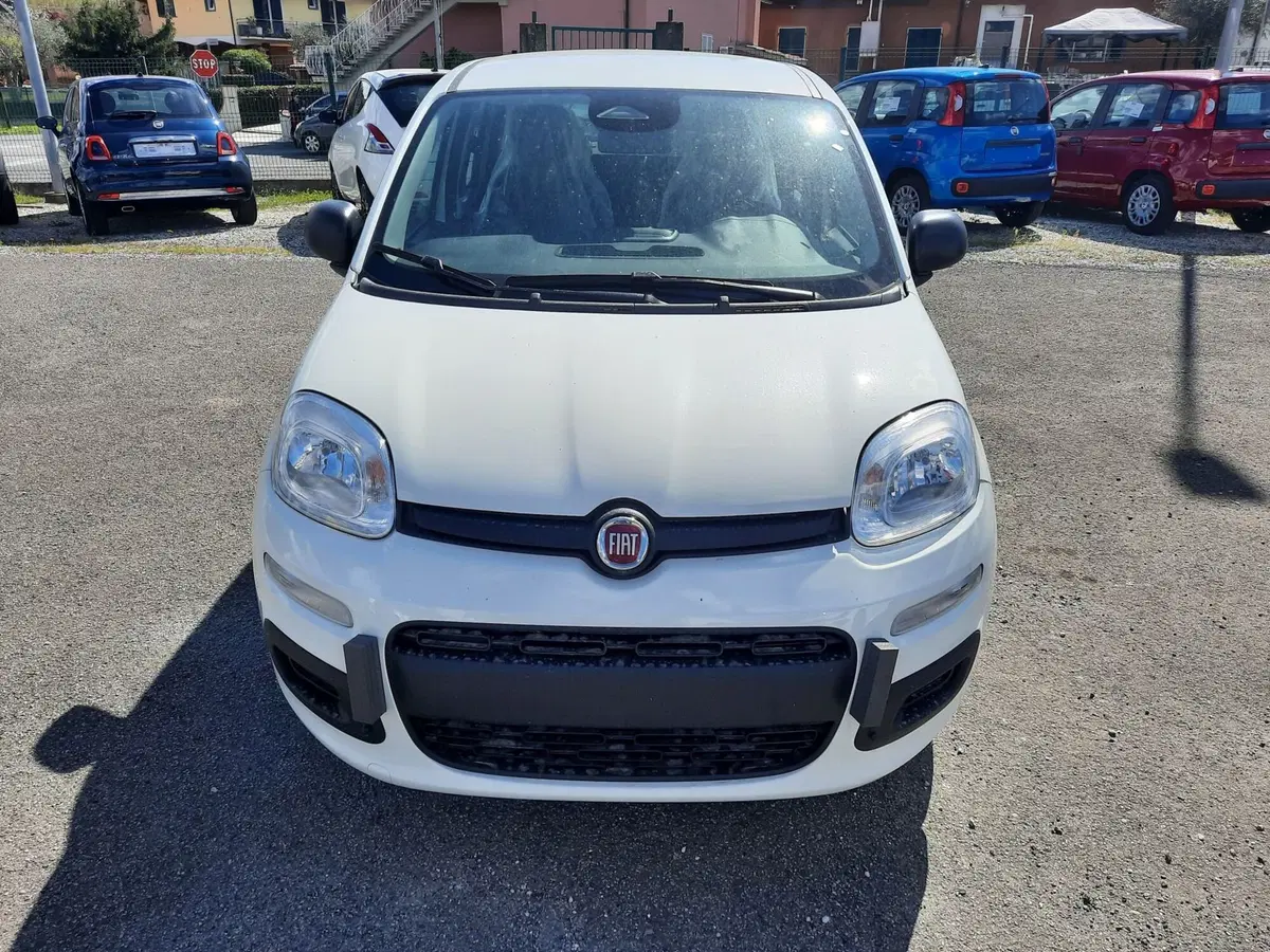 Fiat Pandina nuova a La Spezia (2)