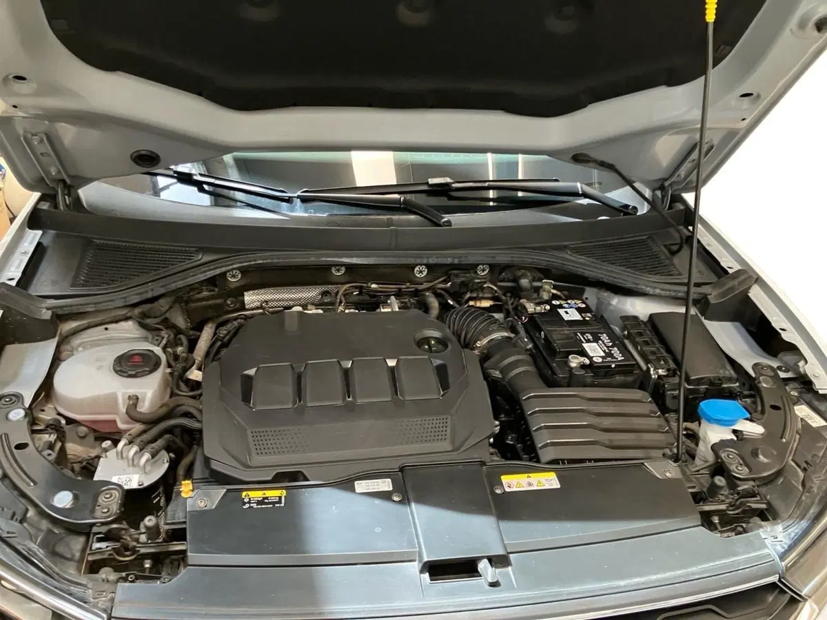 Volkswagen T-Roc usata a Bologna (11)