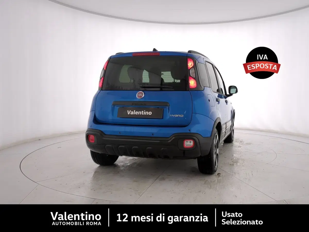Fiat Panda Cross usata a Roma (3)