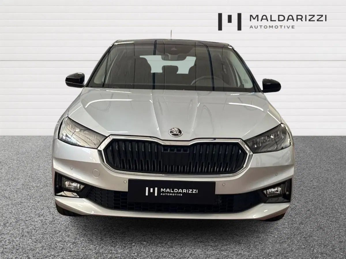 Skoda Fabia usata a Lecce (2)