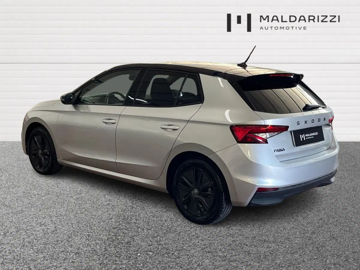 Skoda Fabia usata a Lecce (4)