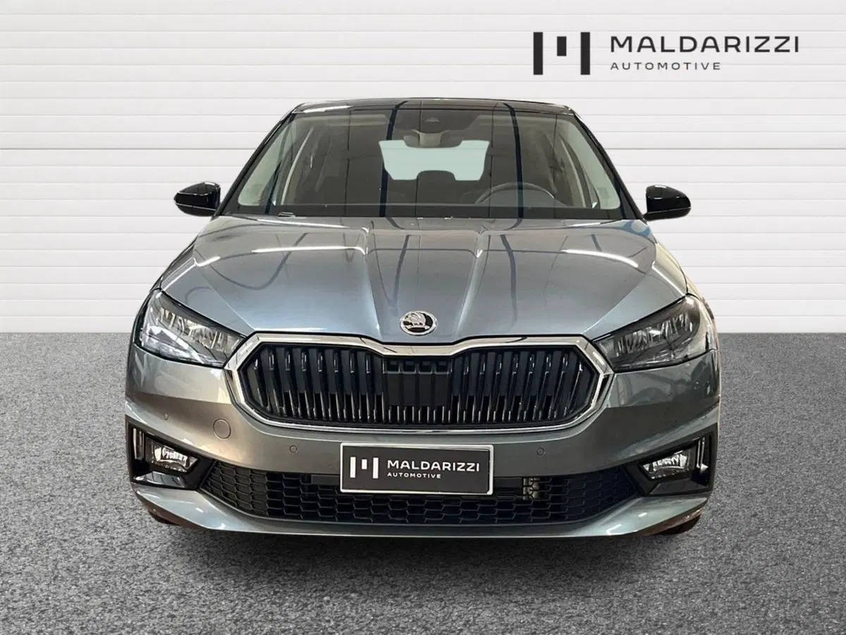 Skoda Fabia usata a Bari (2)