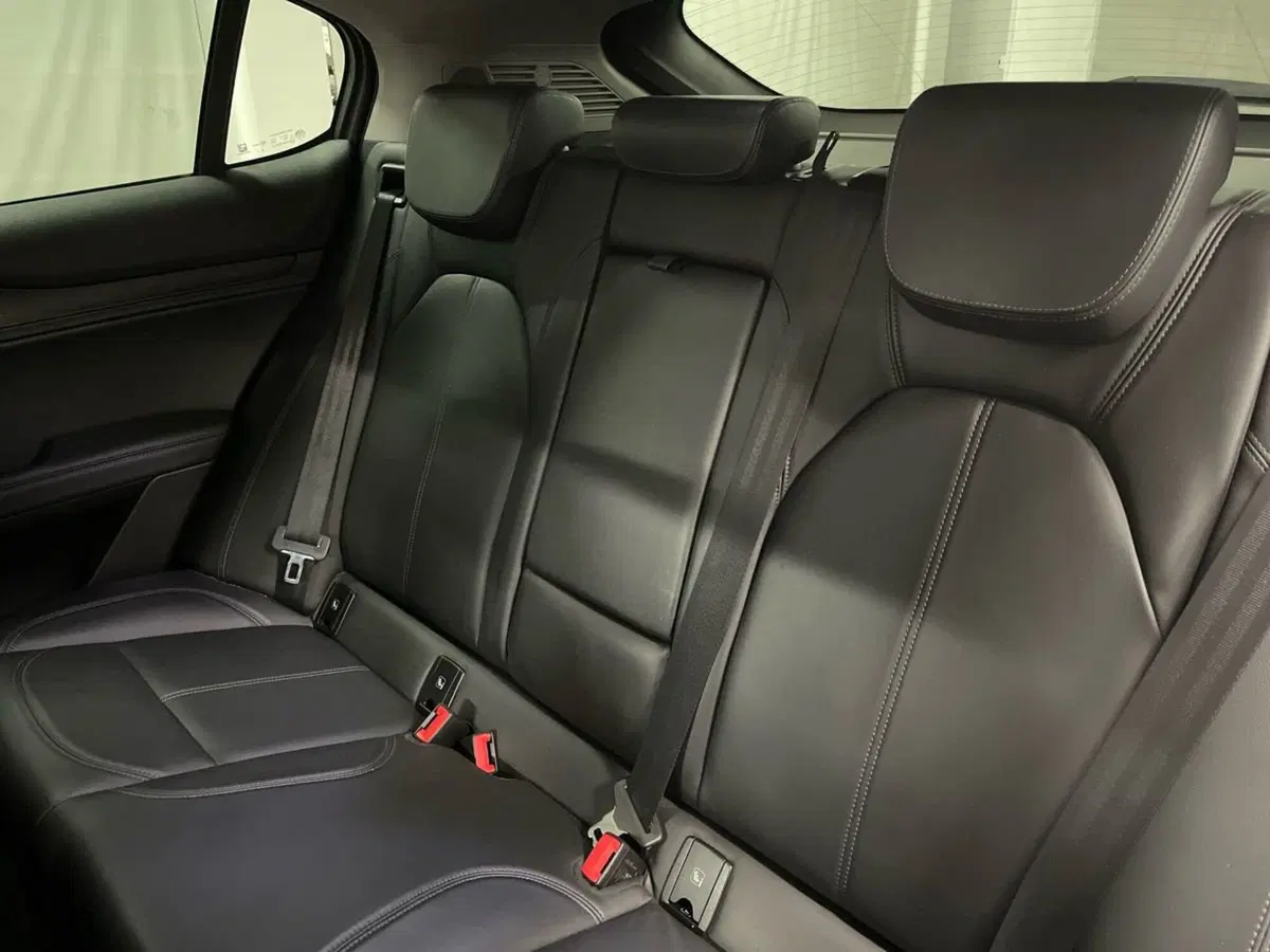 Alfa Romeo Stelvio usata a Macerata (13)