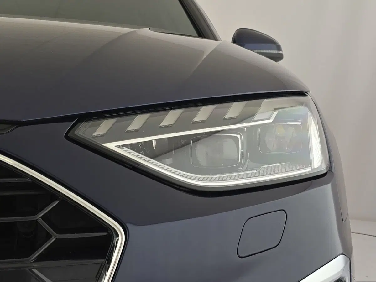 Audi A4 Avant usata a Alessandria (7)