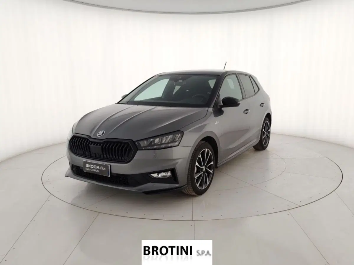 Skoda Fabia usata a Massa-Carrara