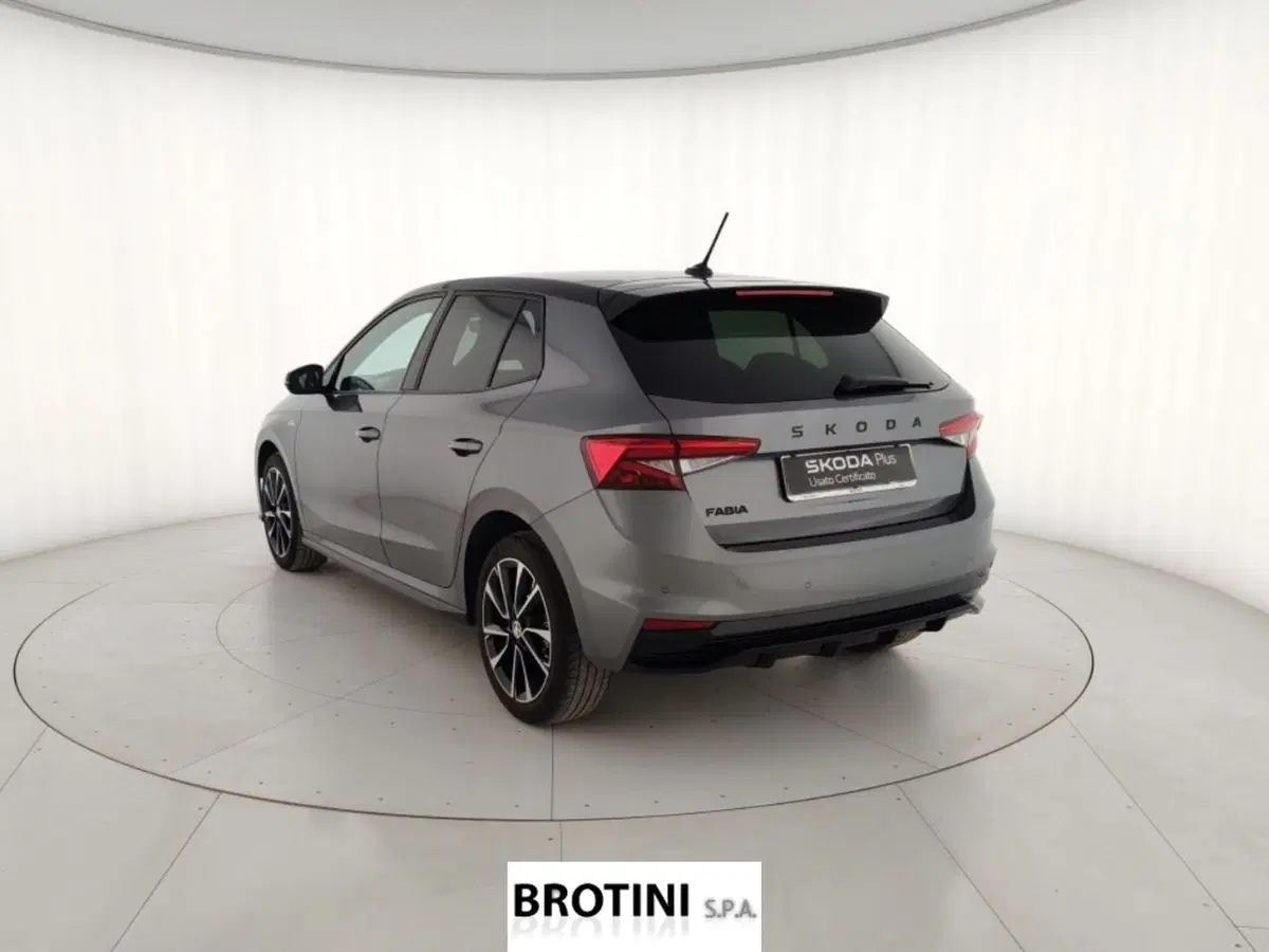 Skoda Fabia usata a Massa-Carrara (2)