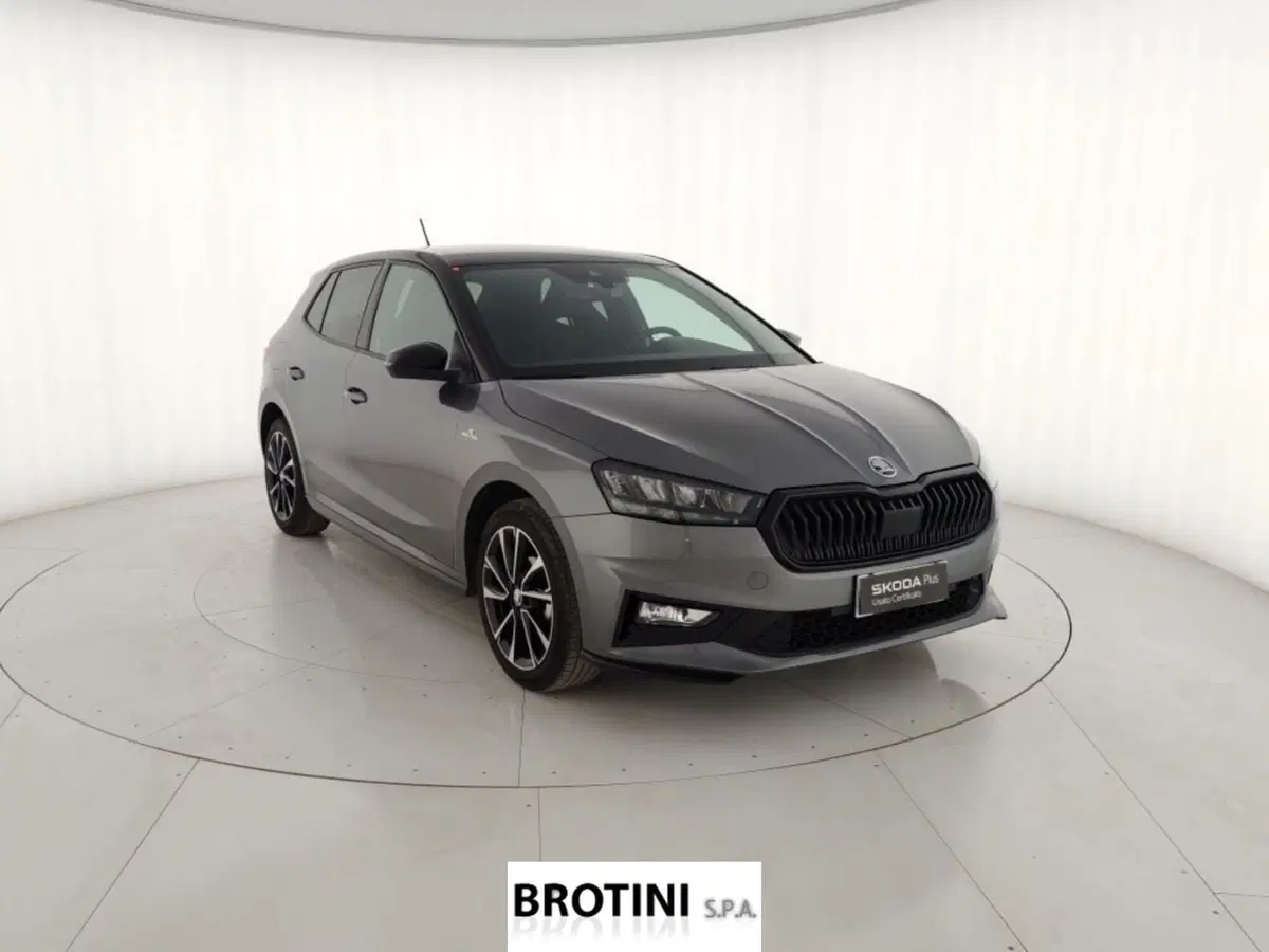 Skoda Fabia usata a Massa-Carrara (4)