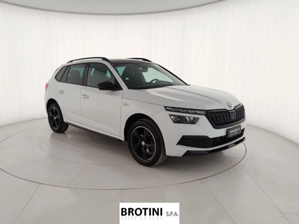 Skoda Kamiq usata a Massa-Carrara (4)