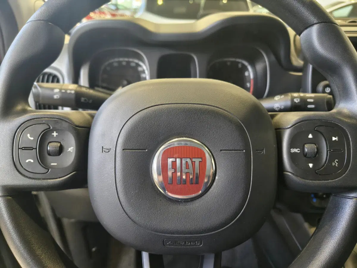 Fiat Panda Cross usata a Vercelli (10)