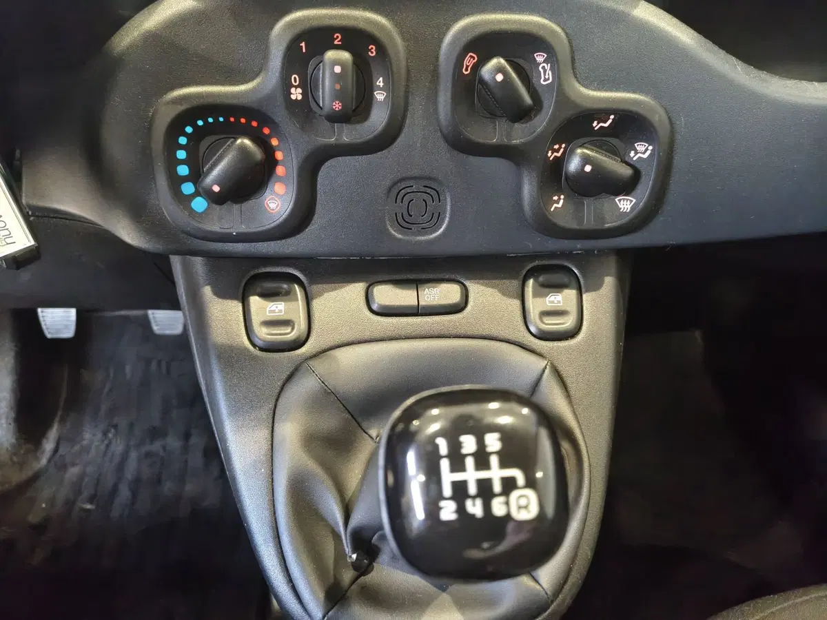 Fiat Panda Cross usata a Vercelli (11)