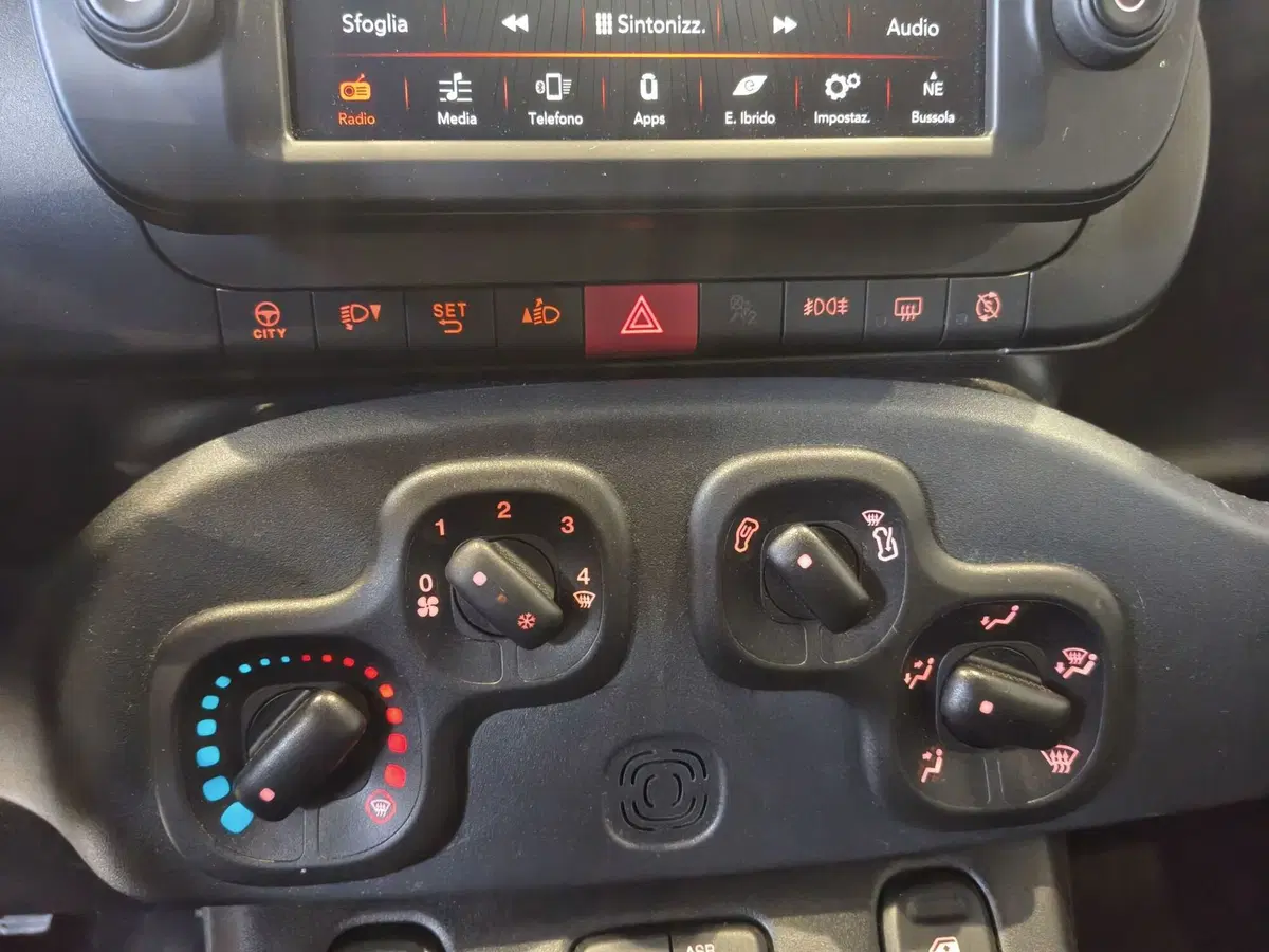 Fiat Panda Cross usata a Vercelli (13)