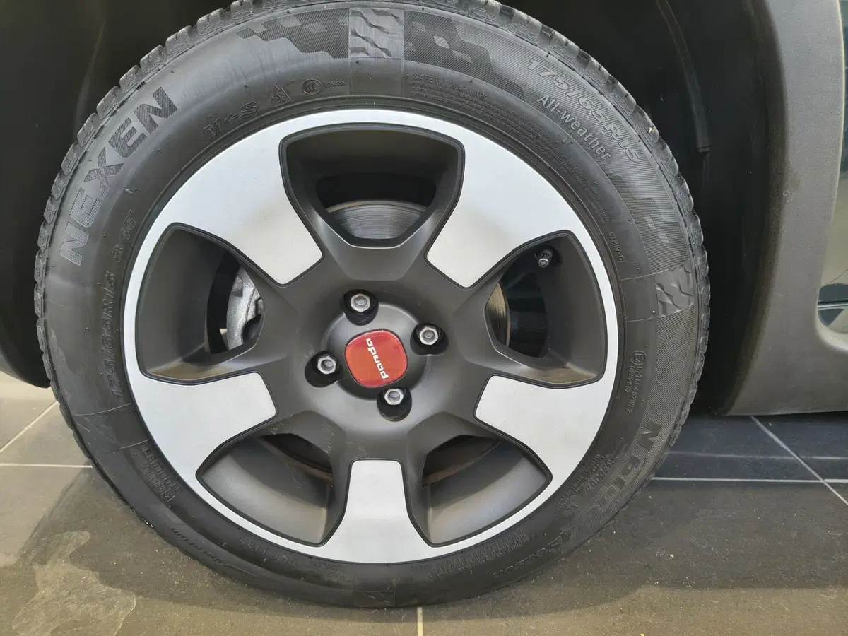 Fiat Panda Cross usata a Vercelli (5)