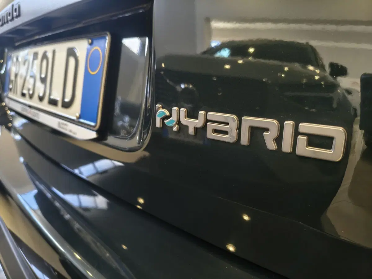 Fiat Panda Cross usata a Vercelli (6)