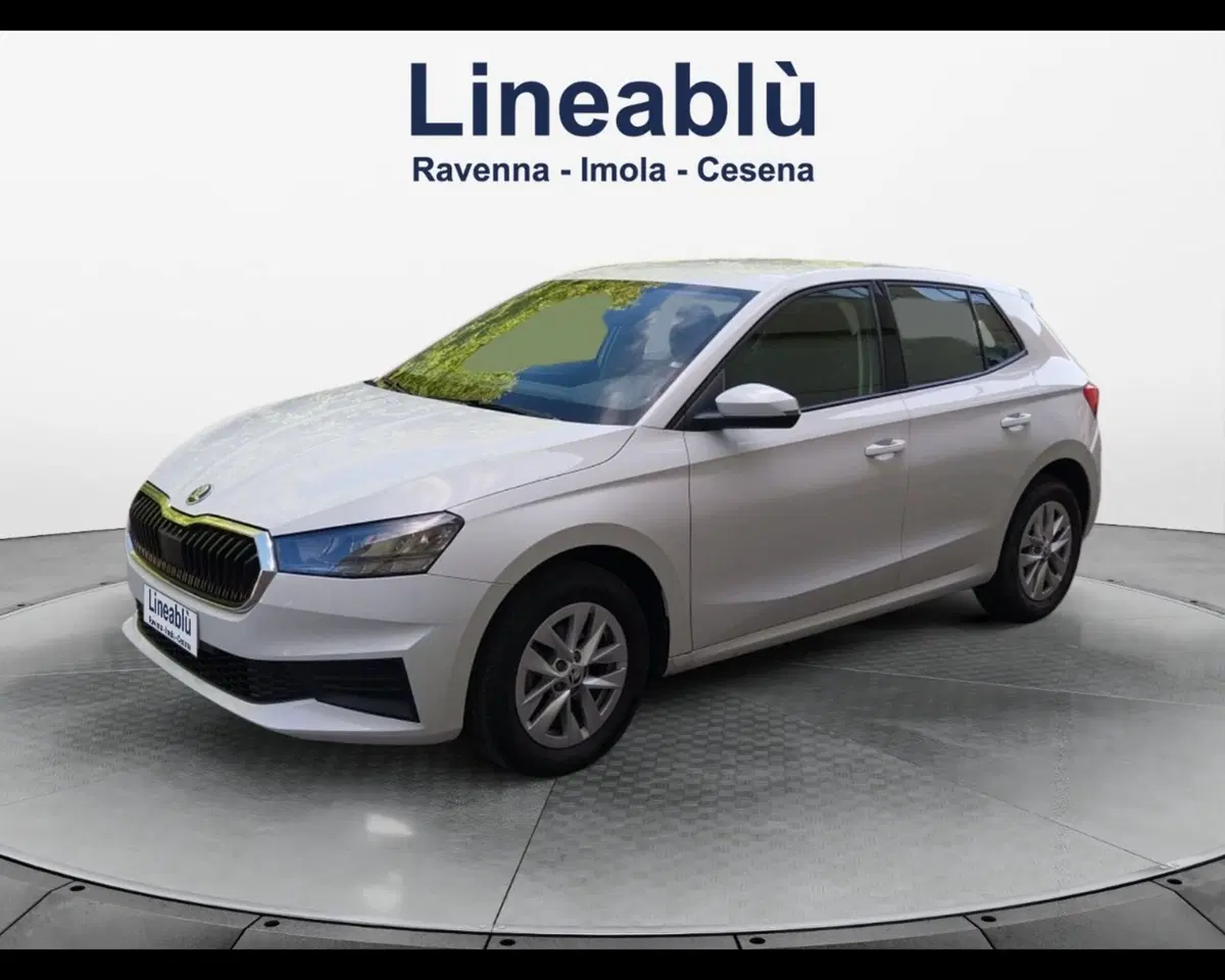 Skoda Fabia usata a Forlì-Cesena