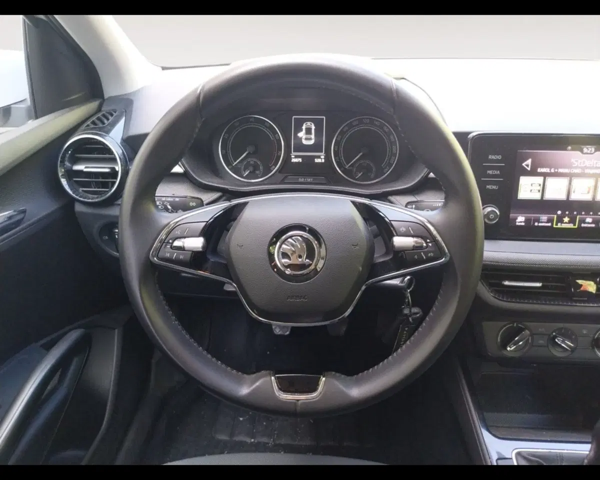 Skoda Fabia usata a Forlì-Cesena (11)