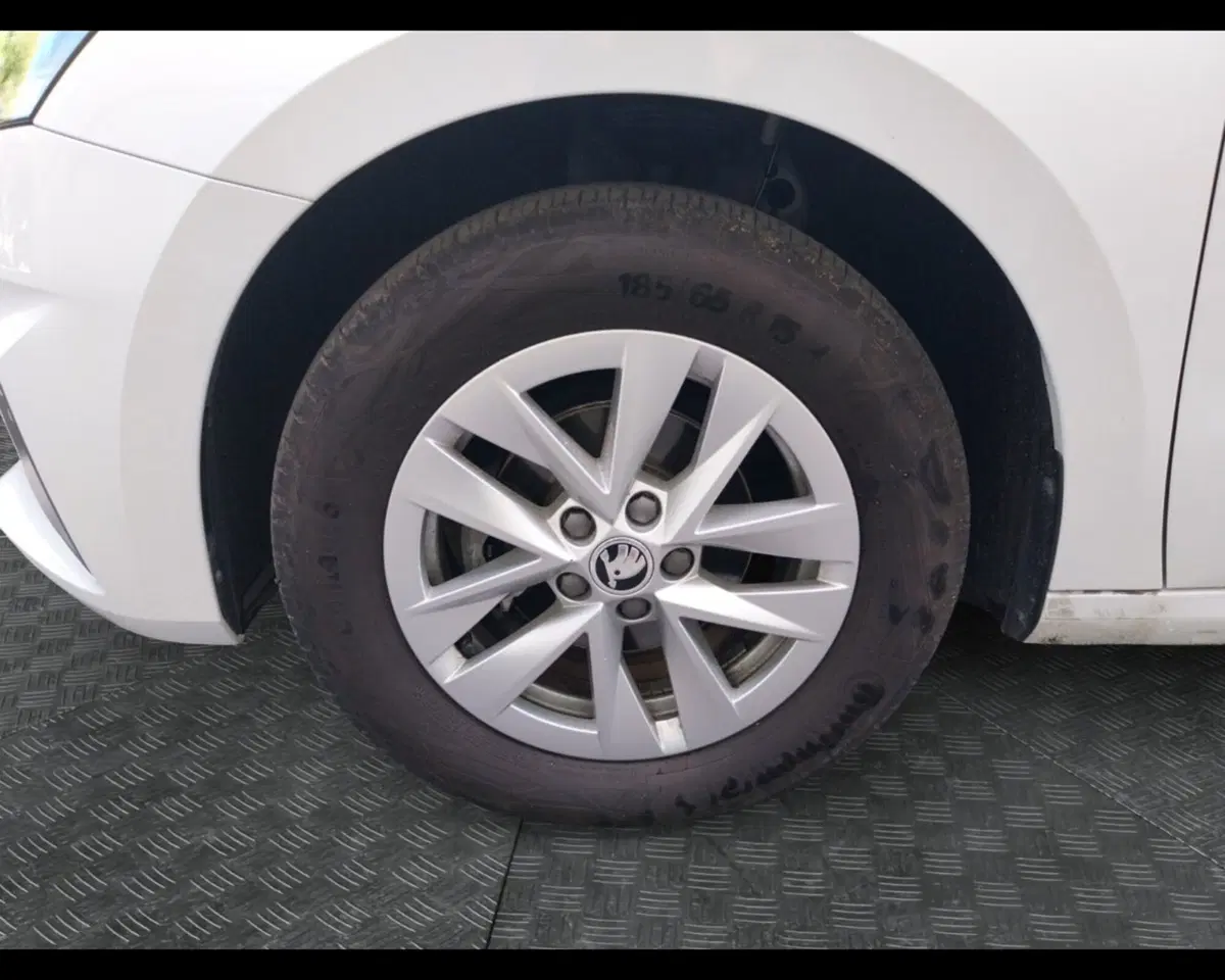 Skoda Fabia usata a Forlì-Cesena (13)
