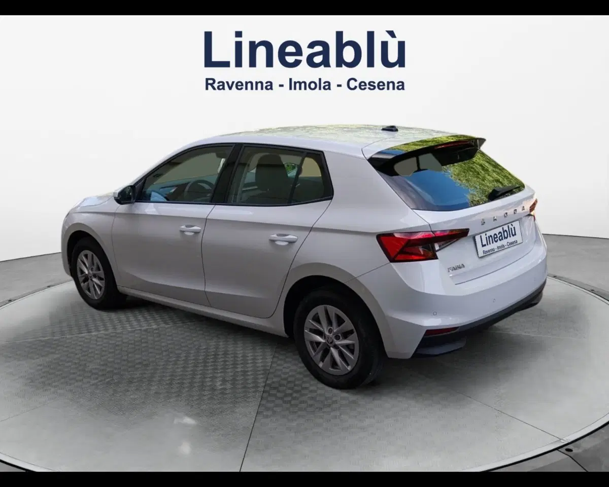 Skoda Fabia usata a Forlì-Cesena (2)