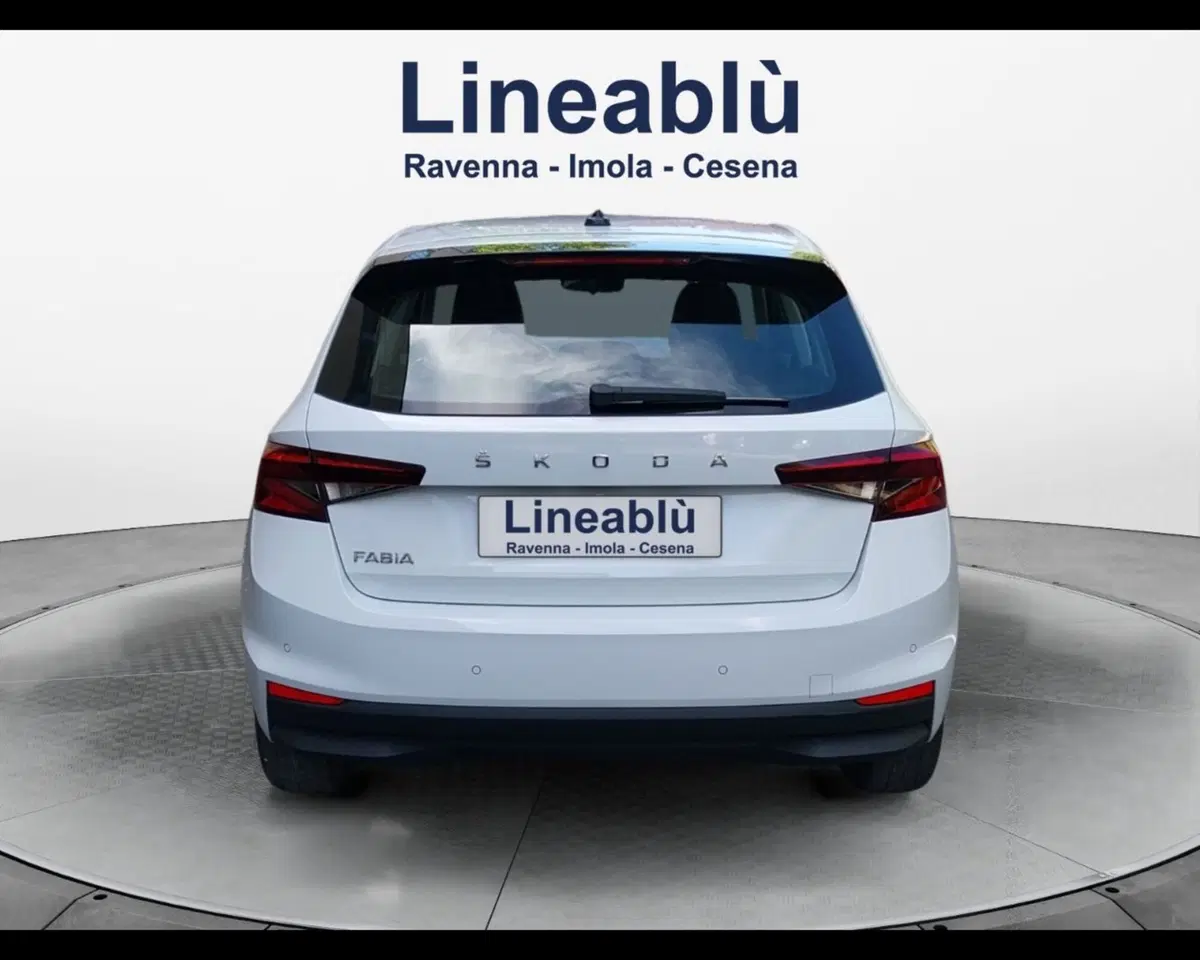 Skoda Fabia usata a Forlì-Cesena (3)