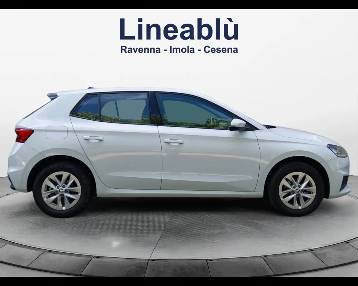 Skoda Fabia usata a Forlì-Cesena (5)