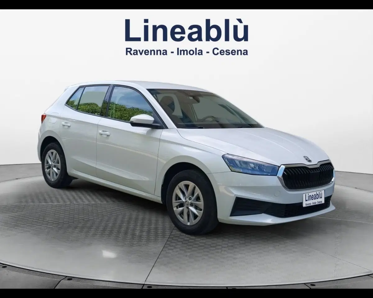 Skoda Fabia usata a Forlì-Cesena (6)