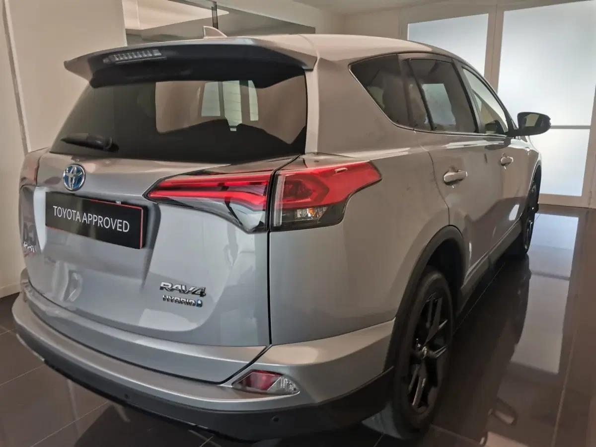 Toyota Rav4 usata a Bergamo (19)