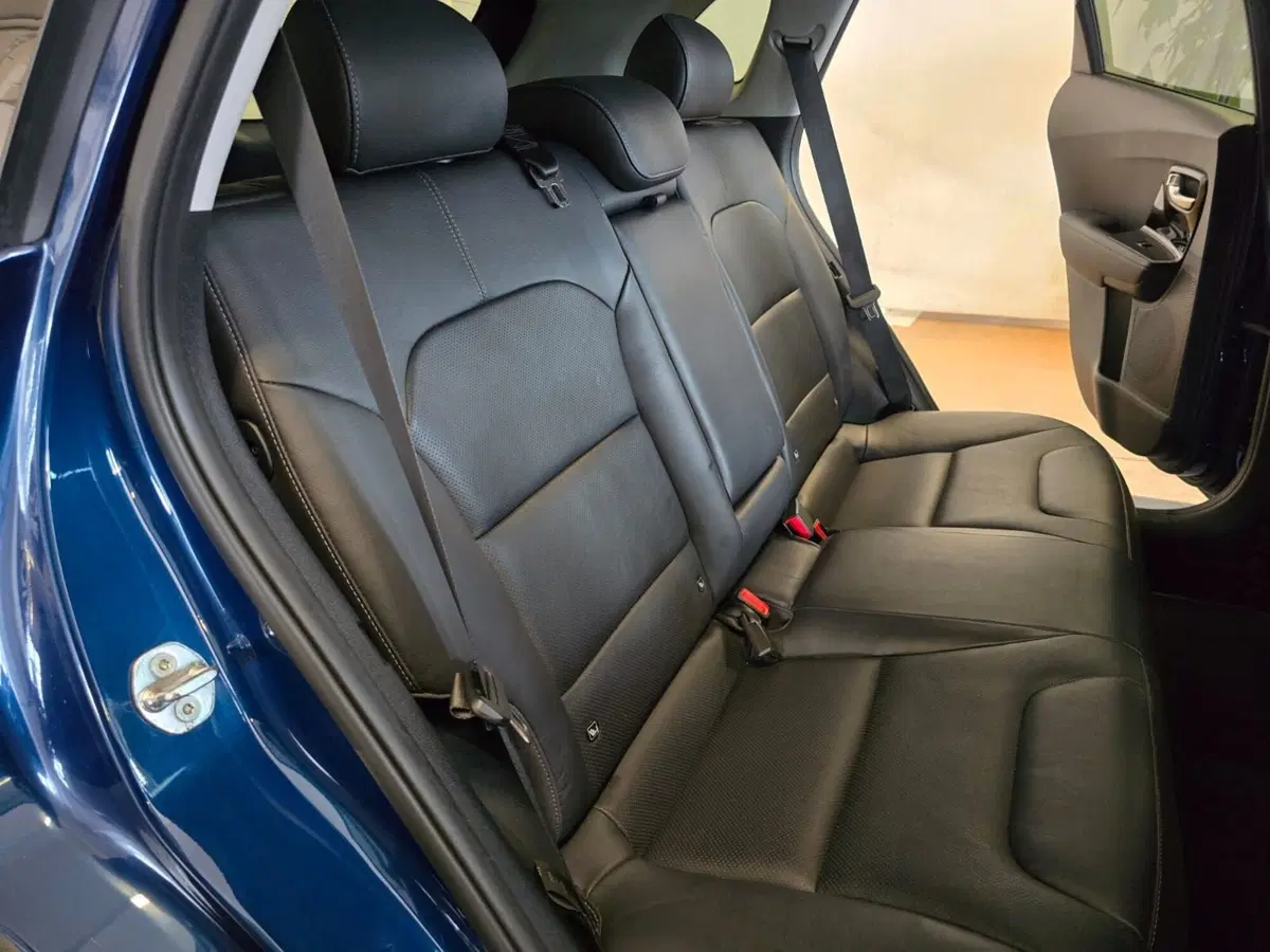 Kia Niro usata a Rimini (14)